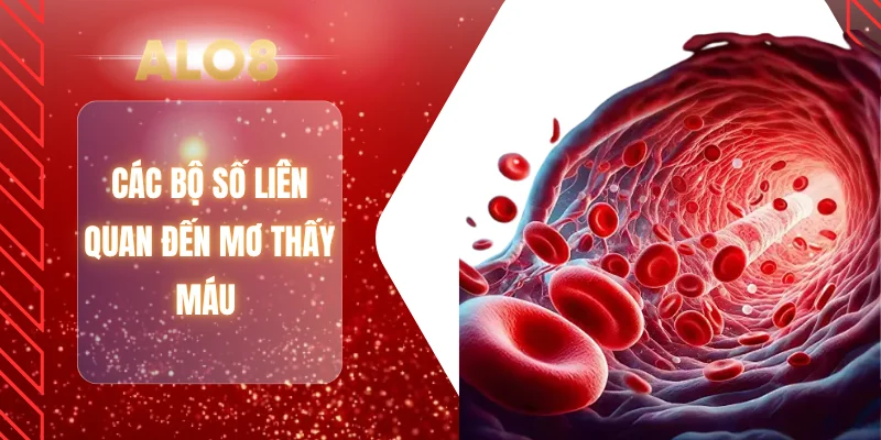 Các bộ số liên quan đến mơ thấy máu