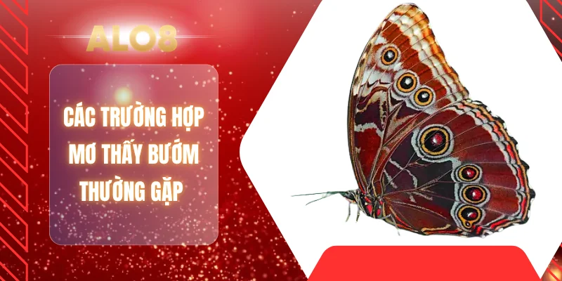Các trường hợp mơ thấy bướm thường gặp