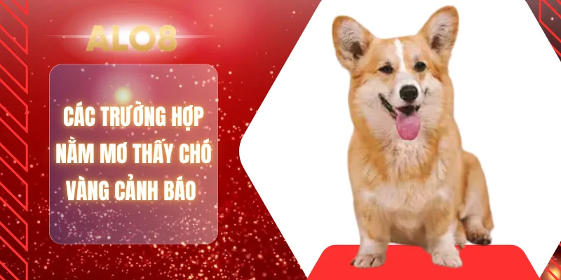 Các trường hợp nằm mơ thấy chó vàng cảnh báo