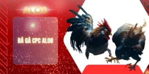 ĐÁ GÀ CPC ALO8