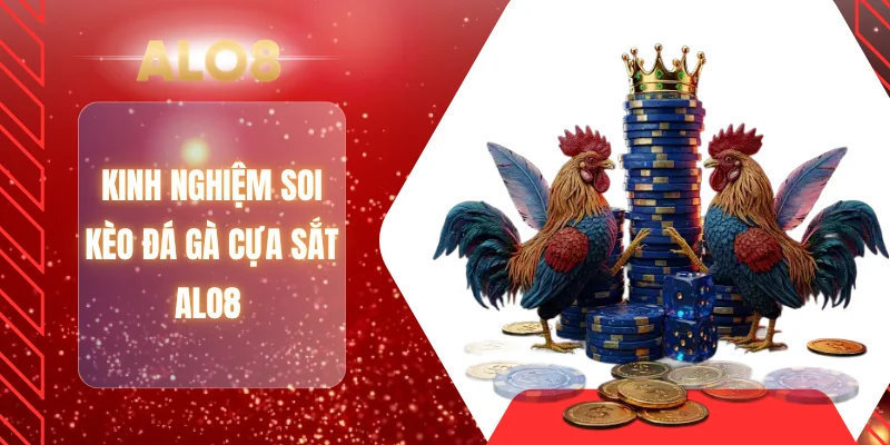 Kinh nghiệm soi kèo đá gà cựa sắt ALO8