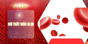 MƠ THẤY MÁU ALO8