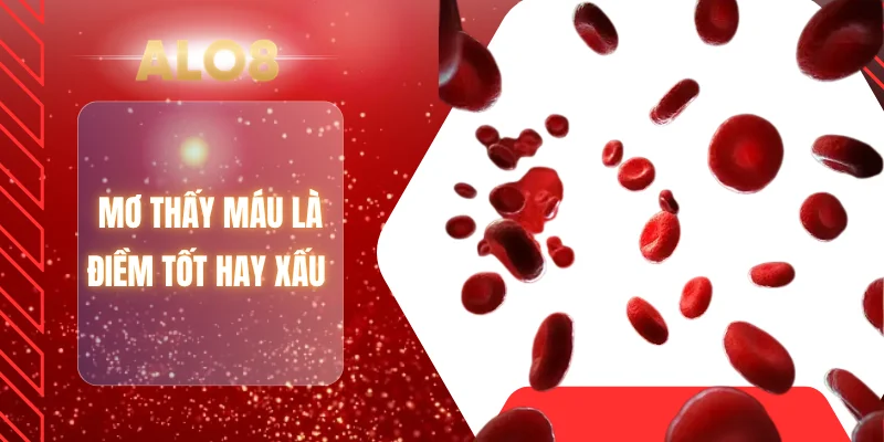 Mơ thấy máu là điềm tốt hay xấu