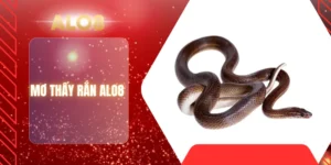 MƠ THẤY RẮN ALO8