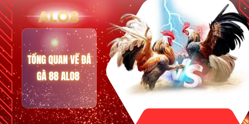 Tổng quan về đá gà 88 ALO8