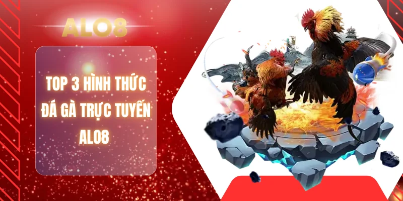 Top 3 hình thức đá gà trực tuyến ALO8